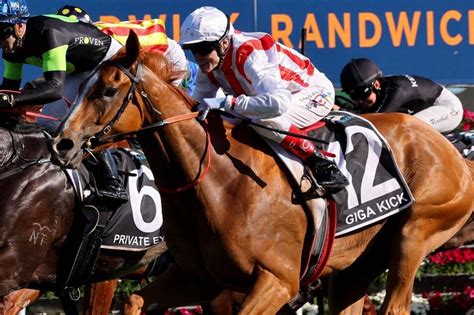 backawinner|horse racing websites australia.